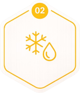 Freeze-Drying