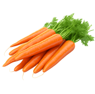 Carrot